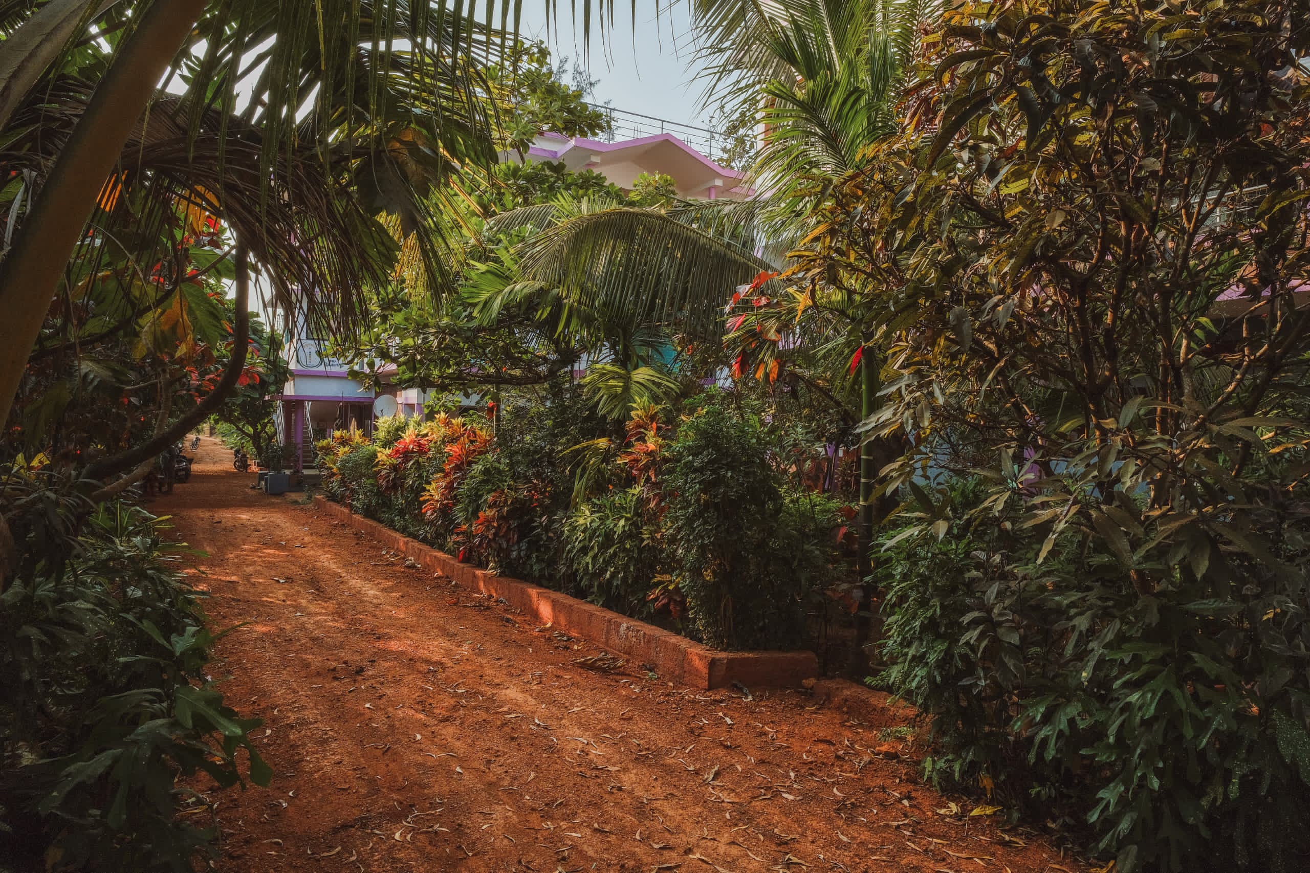 Gokarna Trees Background